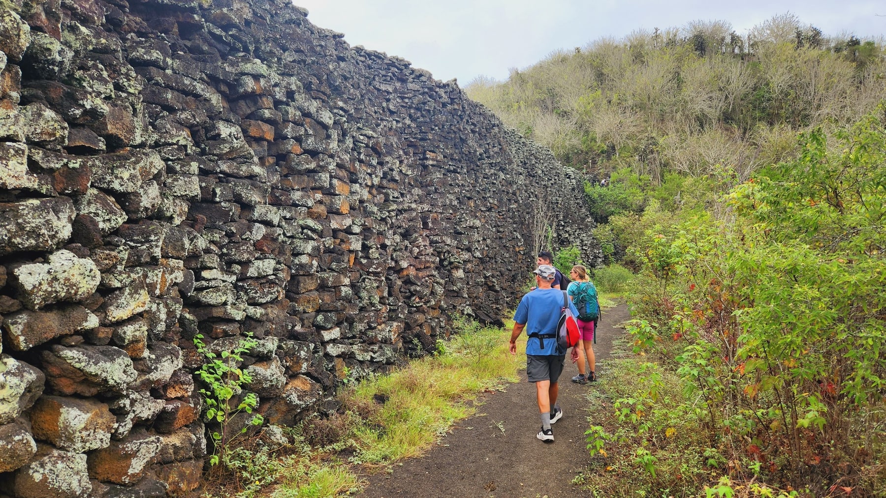 Isabela: tortugas, bicicleta y snorkel