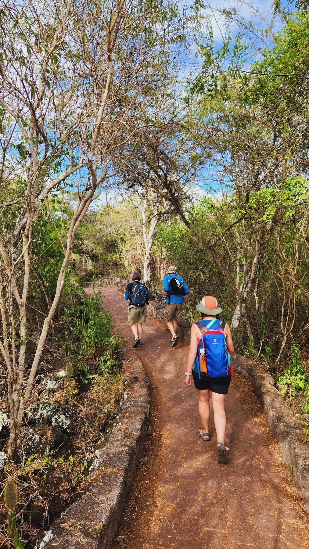 Camino a Tortuga Bay