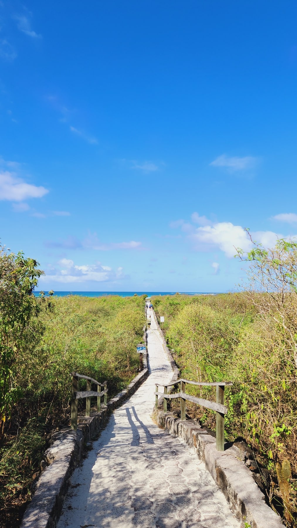 Tortuga Bay · Encuentro con el mar