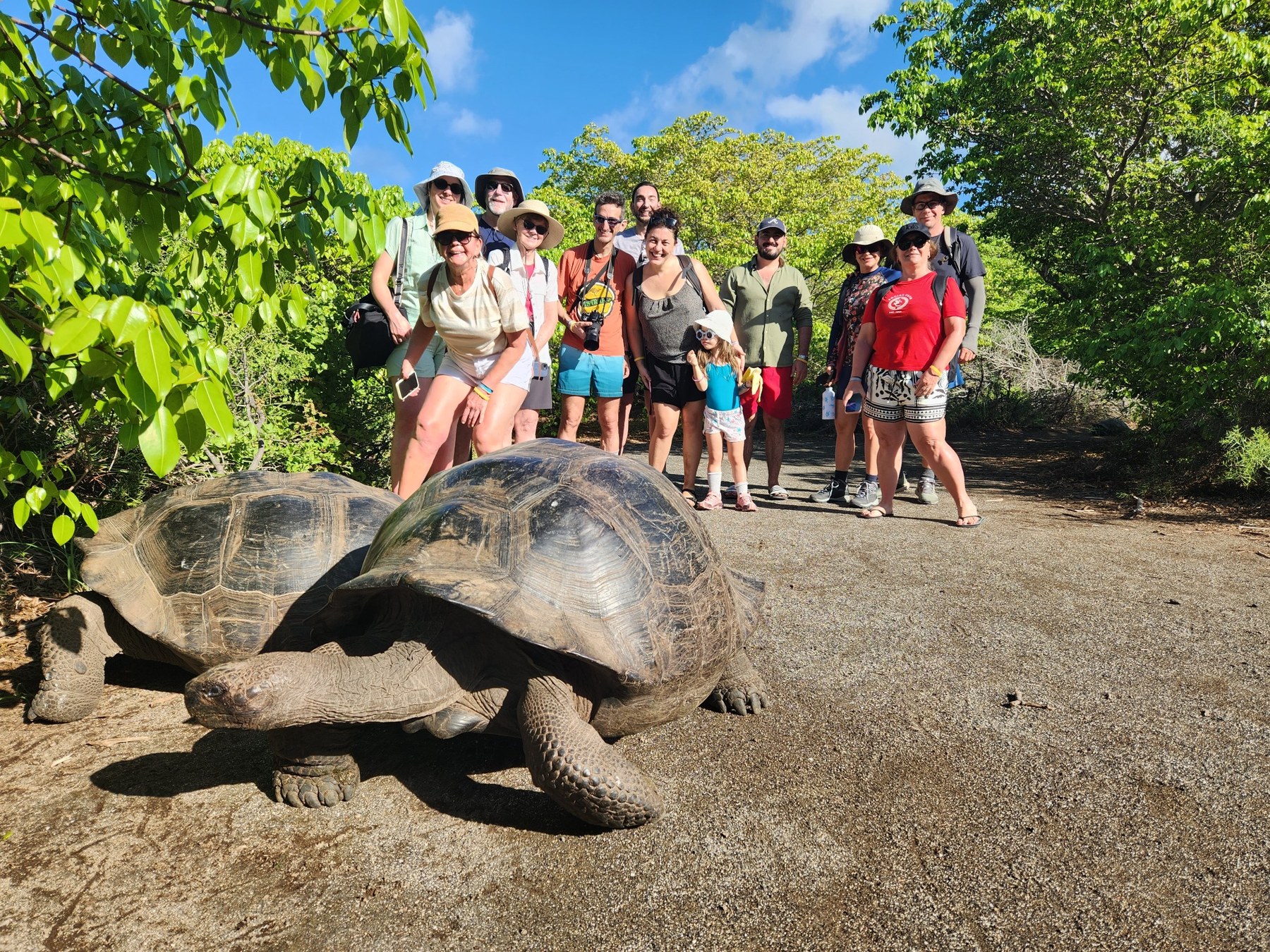 Conociendo las tortugas gigantes